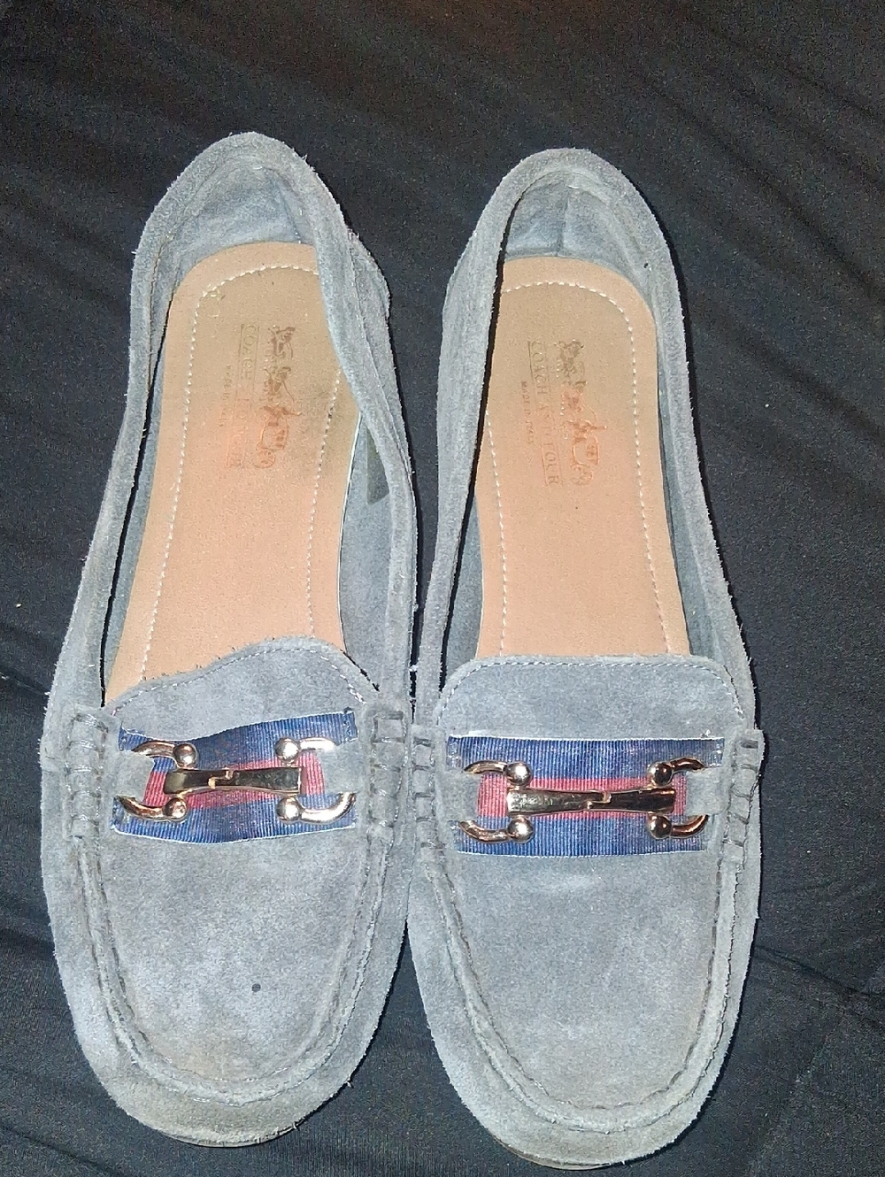 Coach and Four Gray Suede Loafers with Ribbon and Bit